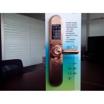 WiFi RFID remote control door lock LSLA2901